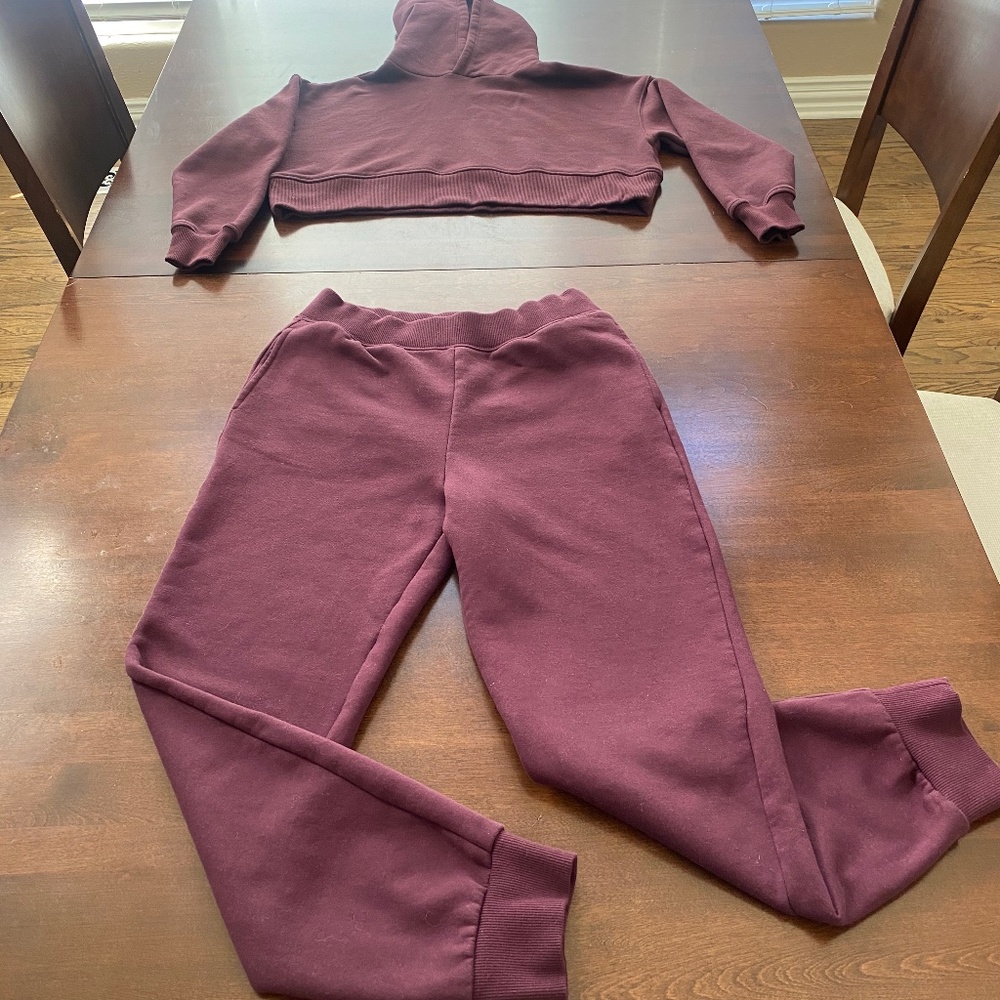 cropped hoodie with sweatpants (matching set)